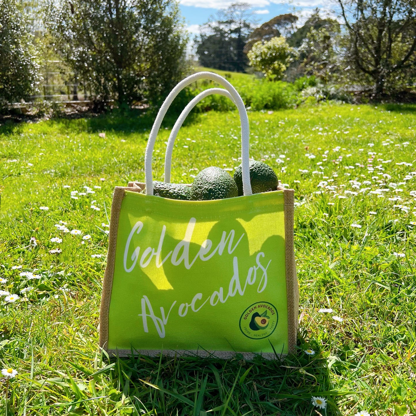 Golden Avocados Tote Bag